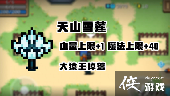 ��Ԫ����ʿ����ɽѩ����ʲô�� ��ɽѩ�����ý���