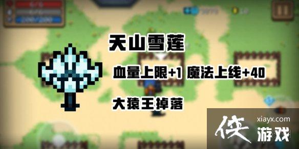 ��Ԫ����ʿ�����ڰ汾����ֲ�� ����ɳ����ɽѩ���ƽ�Ģ������