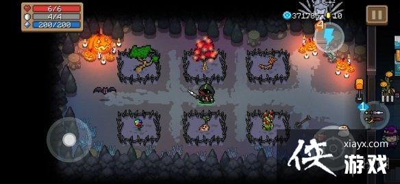 ��Ԫ����ʿ����԰��ʲô�� ��԰��ֲֲ���Ƽ�