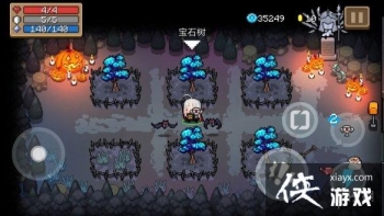 ��Ԫ����ʿ����԰��ʲô�� ��԰��ֲֲ���Ƽ�