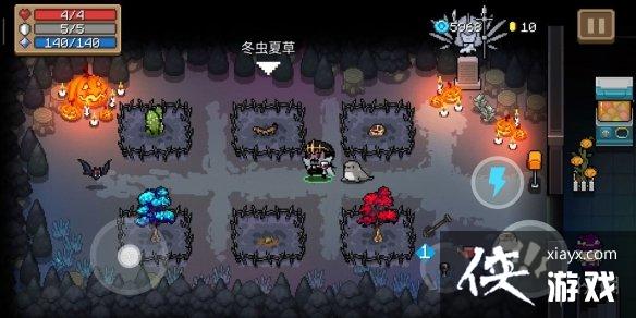 ��Ԫ����ʿ����԰��ʲô�� ��԰��ֲֲ���Ƽ�