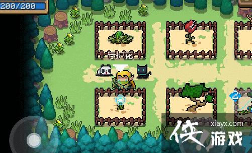 ��Ԫ����ʿ�����ְ汾��ֲ����� ���������츳