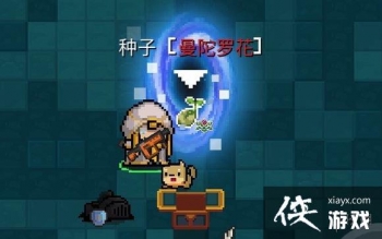 ��Ԫ����ʿ�������޻�������ô�� �����޻���������÷�ʽ