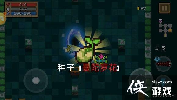 ��Ԫ����ʿ��������С������ô�� ������С�������