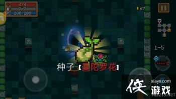 ��Ԫ����ʿ��������С������ô�� ������С�������