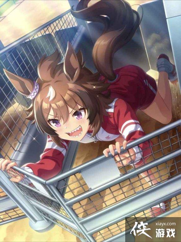 �����������Ρ��¹��֧Ԯ���¼�ѡ�� �¹��֧Ԯ���¼���ôѡ