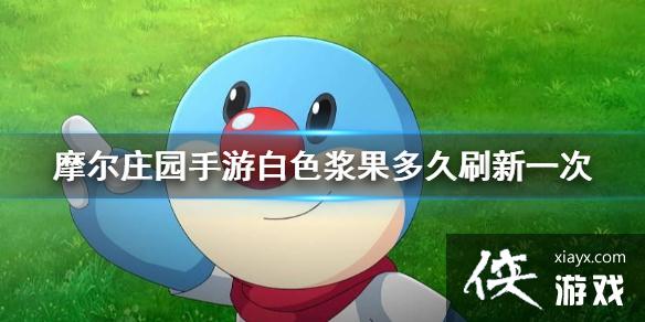 《摩尔庄园手游》白色浆果多久刷新一次 白色浆果刷新时间介绍 《摩尔庄园手游》白色浆果多久刷新一次 白色浆果刷新时间介绍