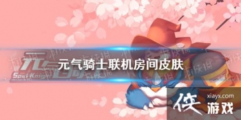 ��Ԫ����ʿ����������Ƥ����ô��� ��������Ƥ����ȡ��ʽ