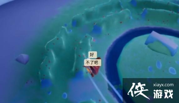 ����С���ӵڶ��β���ʲô�ط���С���ӵڶ��βص�λ�ô�ȫ