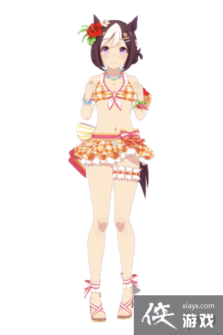 �����������Ρ�Ӿװ�ر�����ô�� Ӿװ�ر������Խ���