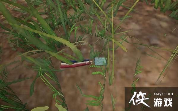 ��������̩������Կ�׻�ȡ���Դ�ȫ