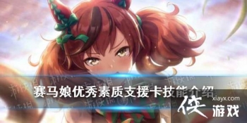 �����������Ρ���������֧Ԯ��������ʲô ssr֧Ԯ���������ʼ��ܷ���