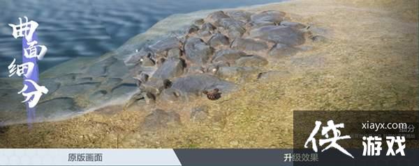 �����ƻ�ҹ�����ʻع� ������3��������Ƭ��ϲ���