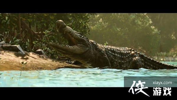 ���µ�����6��˫��������ʾ���� ����С���Я����ս