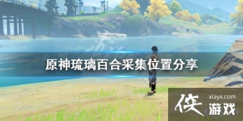 ��ԭ�������ٺ�������ࣿ�����ٺϲɼ�λ�÷���