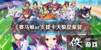 �����������Ρ�����������֧Ԯ��������ʲô sr֧Ԯ���������������ܷ���