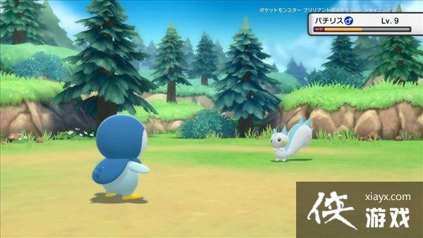 《宝可梦:钻石/珍珠》11月19日发售 新介绍预告一览 《宝可梦:钻石/珍珠》11月19日发售 新介绍预告一览