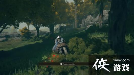 《艾尔登法环》空气墙外神秘区域 新Boss、巨熊怪等 《艾尔登法环》空气墙外神秘区域 新Boss、巨熊怪等