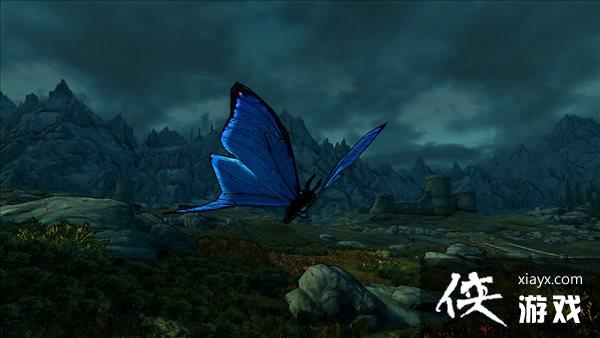 ���Ϲž���5������֮��MOD��ʾ ����ת�䣬����Υ��