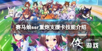 �����������Ρ�����֧Ԯ��������ʲô ssr֧Ԯ�����ڼ��ܷ���