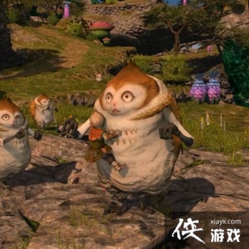 �����ջ���14��6.0����������ʾ ���ȵĺ���ȸ�ǳ�