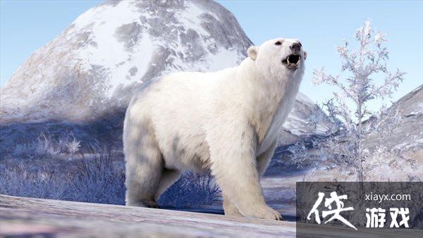 ����ʴ�������ܽᱨ�� ����ͻ��1200�򣬱����ܽ���