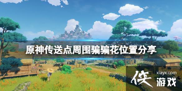 《原神》骗骗花最近在哪？传送点周围骗骗花位置分享