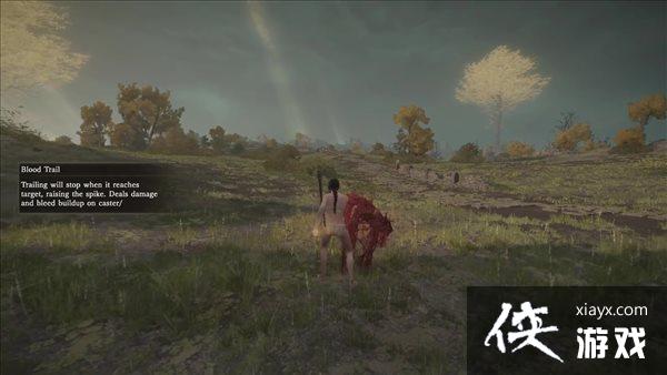 �������Ƿ�������ʵ����ʾй¶ ������������������