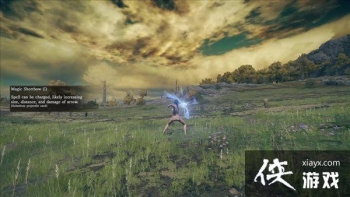 �������Ƿ�������ʵ����ʾй¶ ������������������