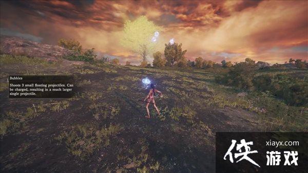 �������Ƿ�������ʵ����ʾй¶ ������������������