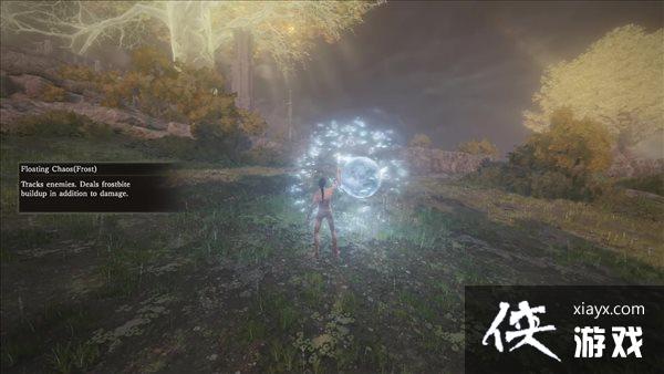 �������Ƿ�������ʵ����ʾй¶ ������������������