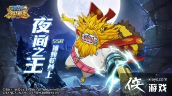 ������ȼ����־è���߼�����ô�ӵ㣿SSRè������ǿ���ܼӵ㷽���Ƽ�