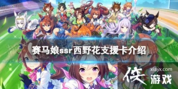 �����������Ρ�ssr��Ұ��֧Ԯ����ô�� ssr֧Ԯ����Ұ��Ч������