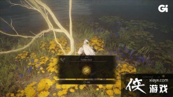 �������Ƿ���������ʵ����ʾ ̽������������֮����