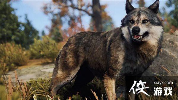 ���ء���ʴ��δ����������ϵͳ ����·������Ե�ü�