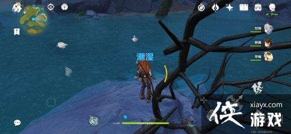 《原神》鸭子哪里多？鸭子位置分享