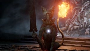 �����Ƿ�����������Ȯ�򷨹���