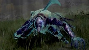 �����Ƿ�����Ȯ��ʿ���������򷨹���