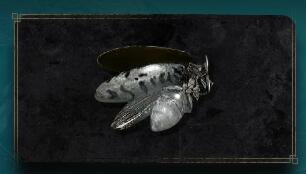 �����Ƿ�����ɫө���������