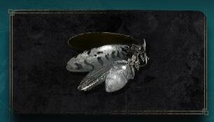 �����Ƿ�����ɫө���������