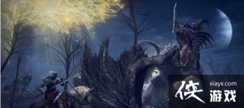 �����Ƿ����������