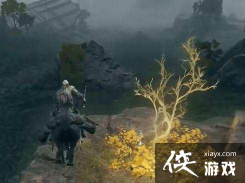 �����Ƿ����ƽ����Ķ�����ô���