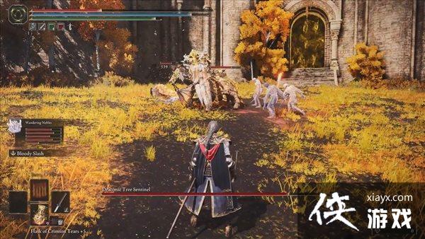 �������Ƿ�����NPC�ǻ���ʾ ������κ�����FW����