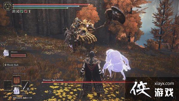 �������Ƿ�����NPC�ǻ���ʾ ������κ�����FW����