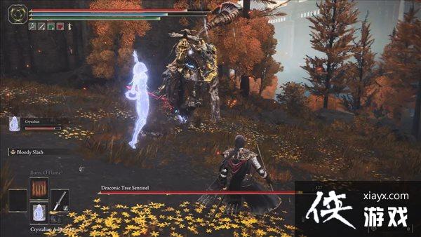 �������Ƿ�����NPC�ǻ���ʾ ������κ�����FW����