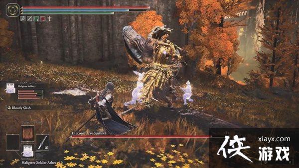 �������Ƿ�����NPC�ǻ���ʾ ������κ�����FW����