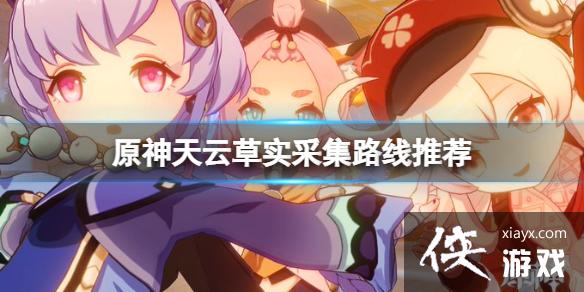 《原神》天云草实位置在哪？天云草实采集路线推荐