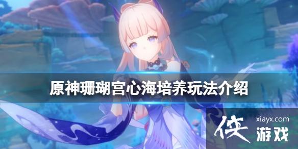《原神》珊瑚宫心海怎么培养？珊瑚宫心海培养玩法介绍