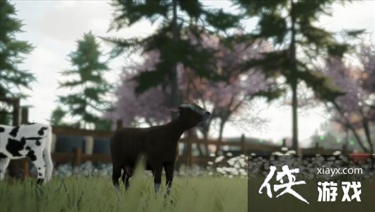 《风和日暖》中文预告 在乡间小镇体验生活的宁静美好 《风和日暖》中文预告 在乡间小镇体验生活的宁静美好