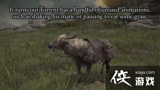 托雷特小日子挺悠闲?《艾尔登法环》灵马废案演示 托雷特小日子挺悠闲?《艾尔登法环》灵马废案演示